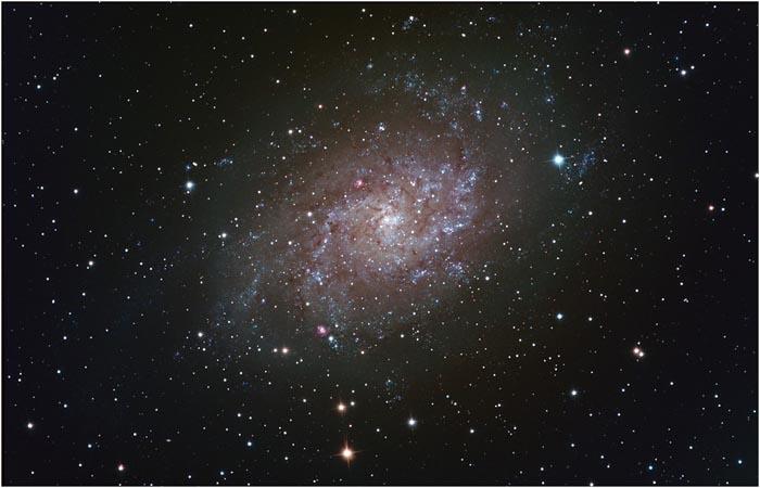 SXVR-M25c M33