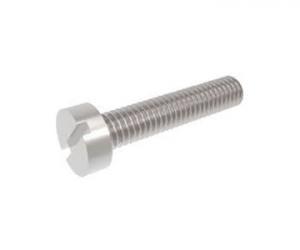 TS-Optics Cheese Head Screw M2x6 with Slot, Steel