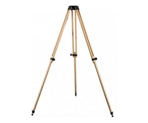 Berlebach photo tripod Report 312 - up to 139 cm height - module insert 1