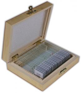 TS-Optics Set Prepared Slides Zoology, 25 prepared slides in wooden box